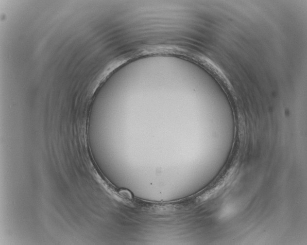 X0000073931041200609082258