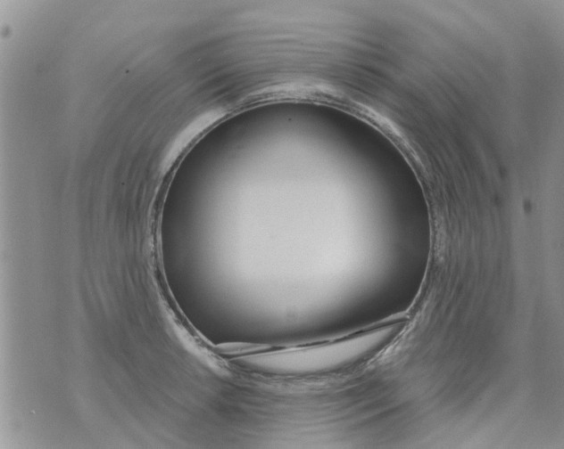 X0000073931042200609082258