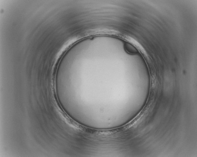 X0000073931043200609082258