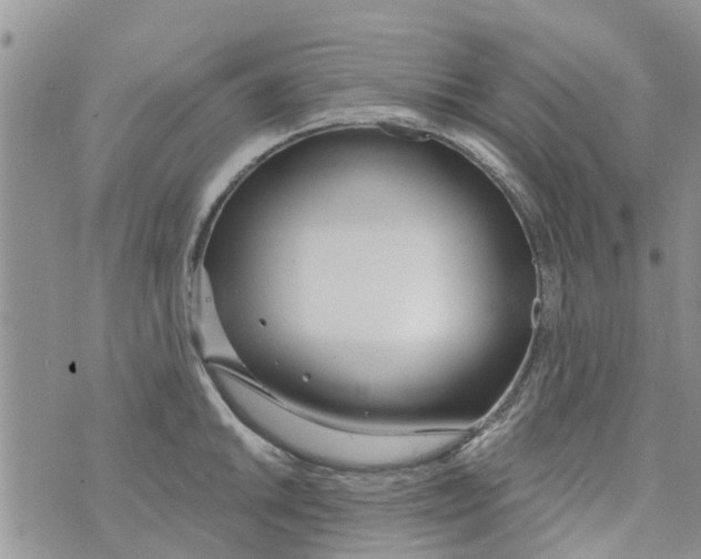 X0000073931046200609082258