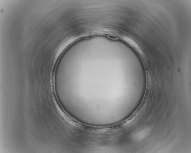 X0000073931047200609082258