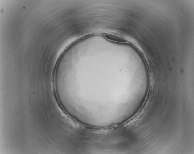 X0000073931048200609082258