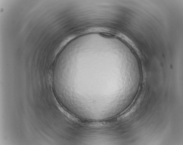 X0000073931049200609082258