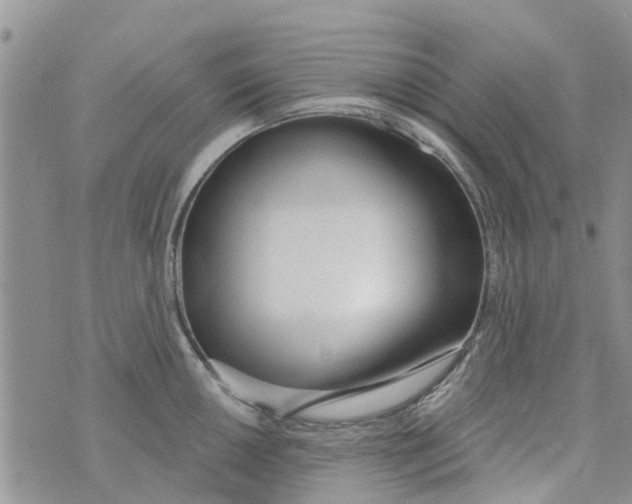 X0000073931050200609082258