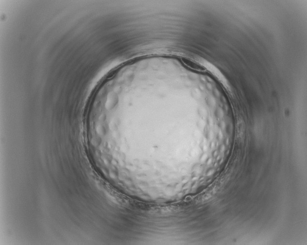 X0000073931051200609082258