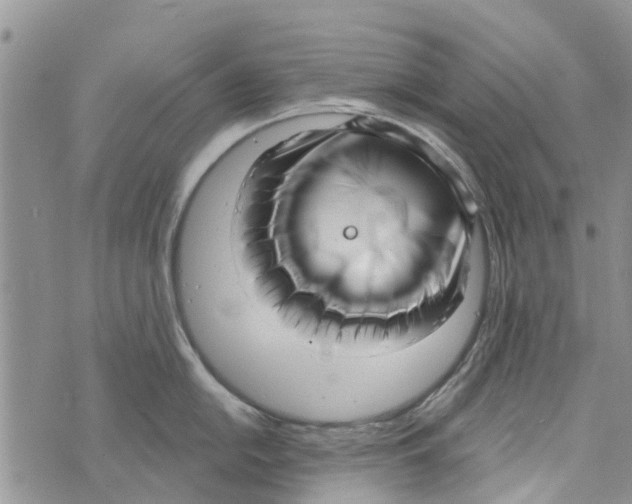 X0000073931054200609082258