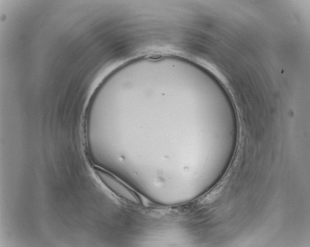 X0000073931056200609082258