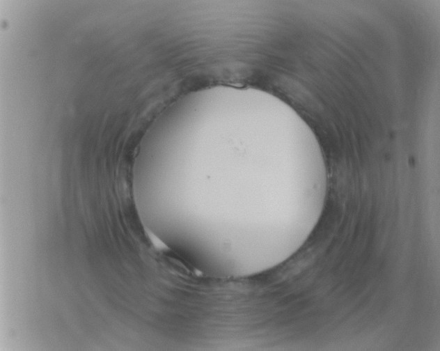 X0000073931058200609082257