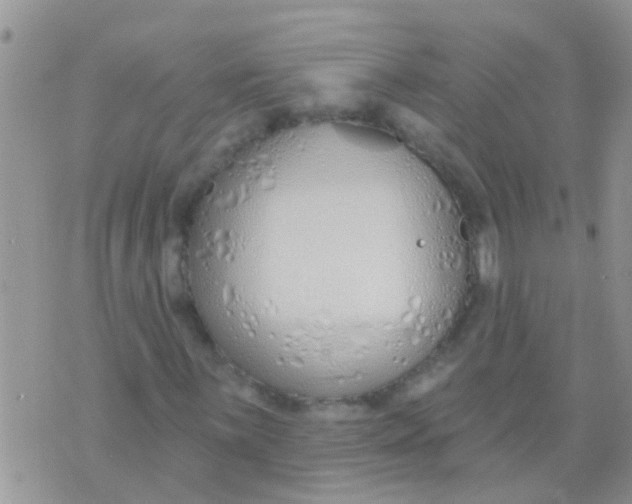 X0000073931059200609082257