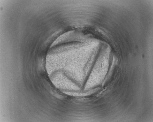 X0000073931060200609082257