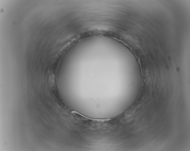 X0000073931061200609082257