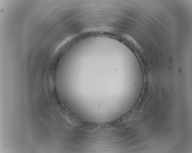 X0000073931064200609082257