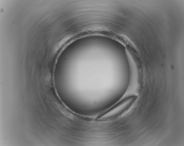 X0000073931065200609082257