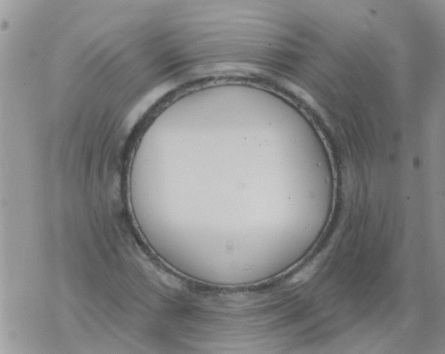 X0000073931066200609082257