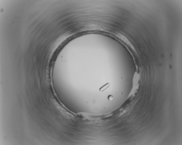 X0000073931068200609082257