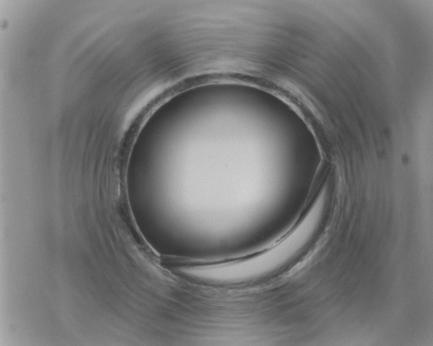 X0000073931069200609082257