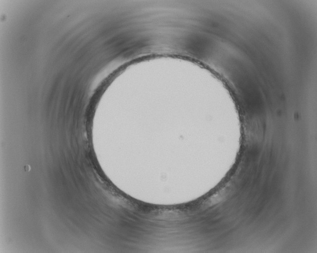 X0000073931070200609082257