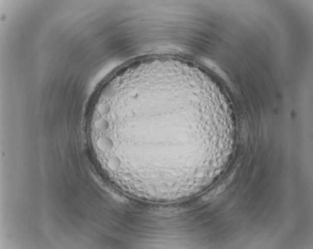 X0000073931071200609082257