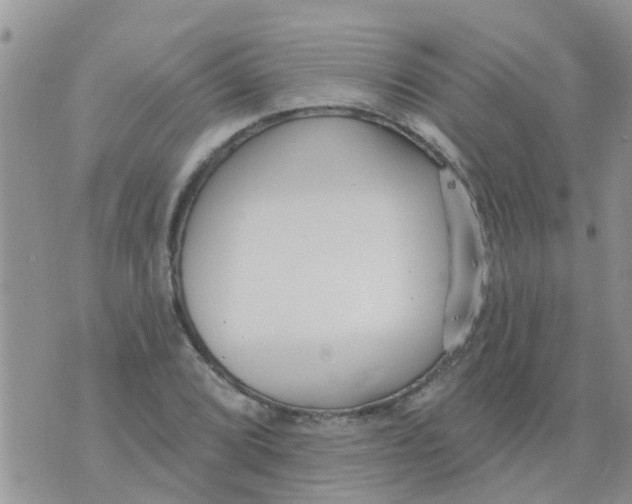 X0000073931072200609082257