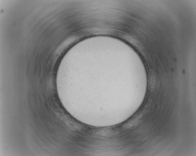 X0000073931074200609082257