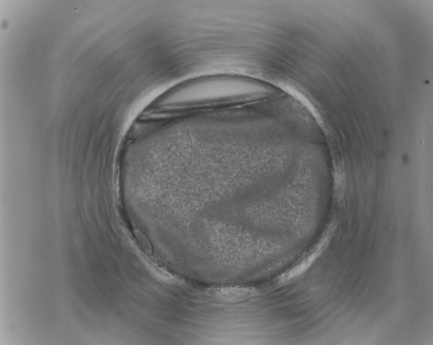 X0000073931077200609082257