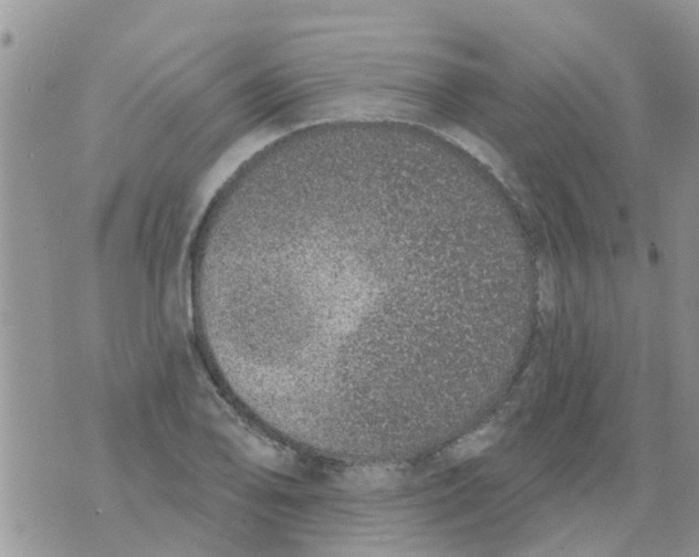 X0000073931078200609082257