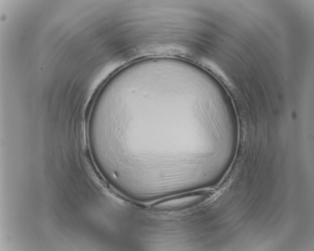 X0000073931079200609082257