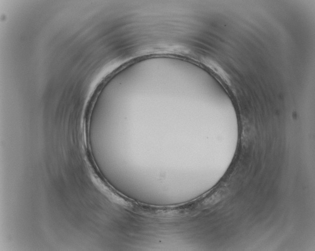 X0000073931080200609082257