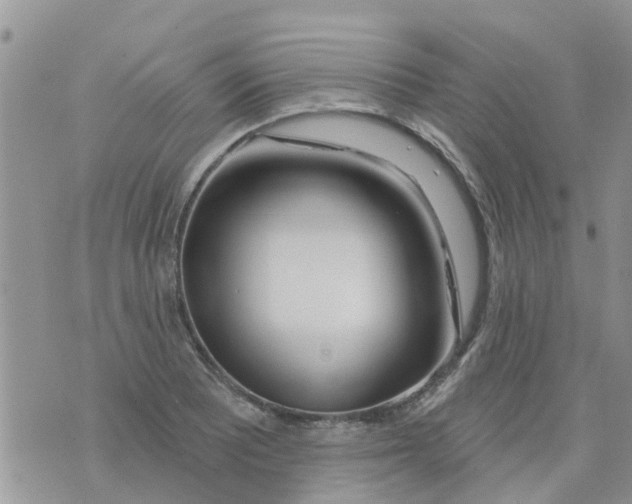 X0000073931081200609082257