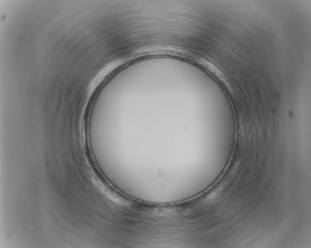 X0000073931082200609082257