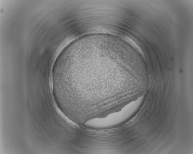 X0000073931084200609082257