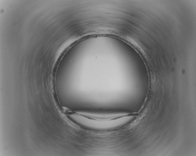 X0000073931085200609082257