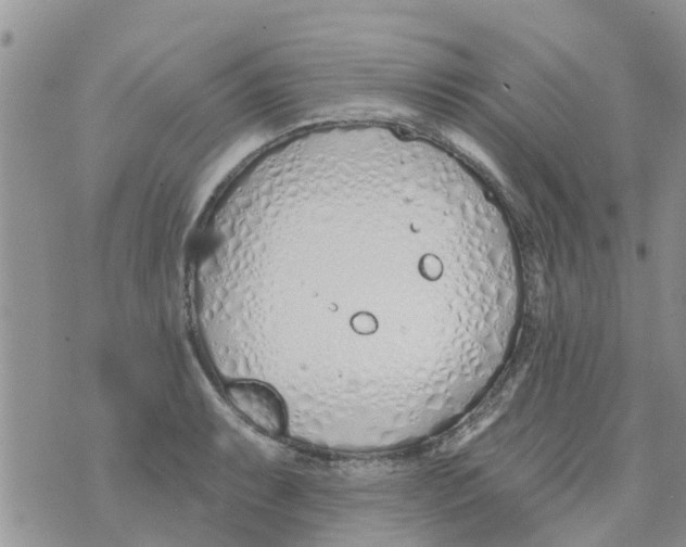 X0000073931087200609082257