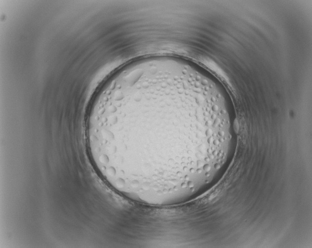 X0000073931088200609082257