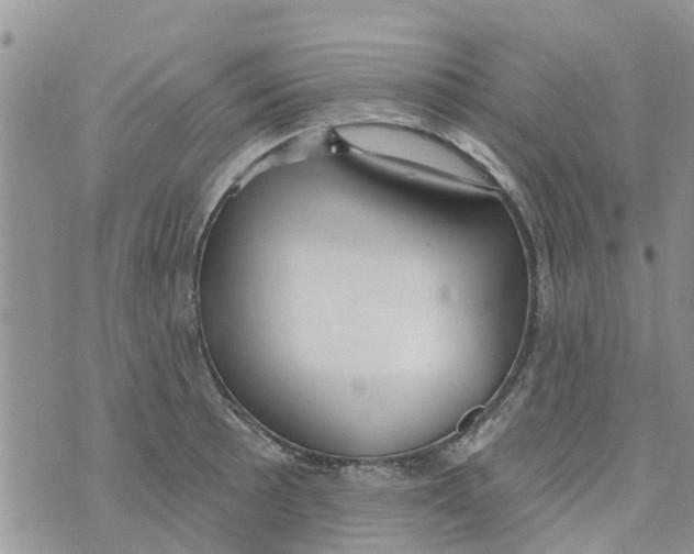 X0000073931089200609082257