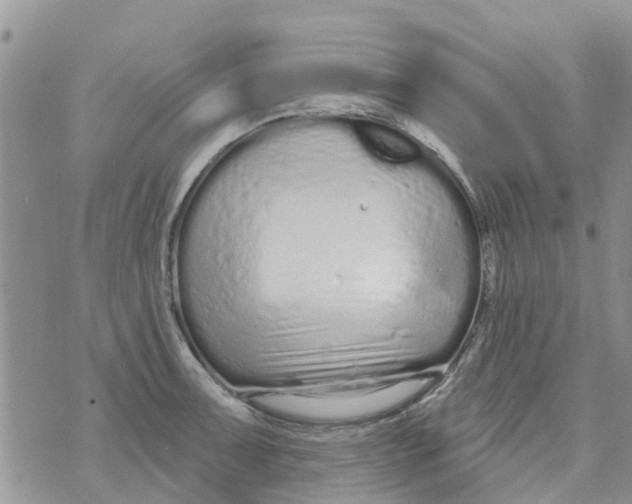 X0000073931091200609082257