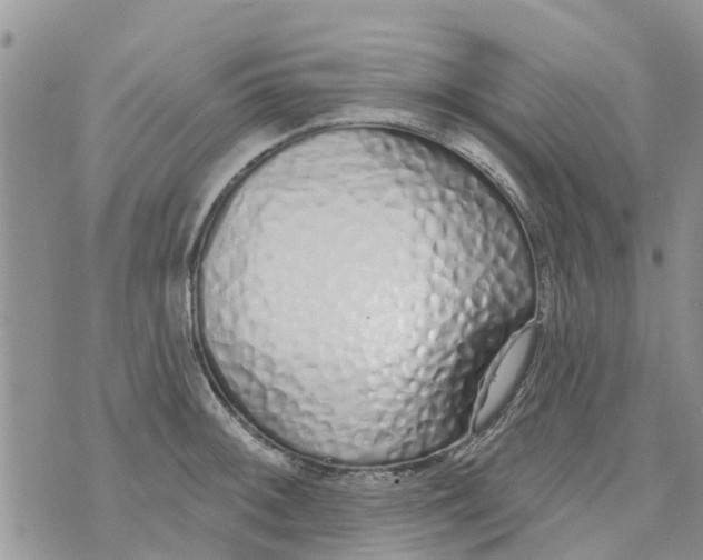 X0000073931092200609082257