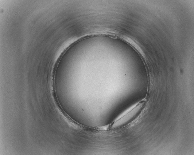 X0000073931093200609082257