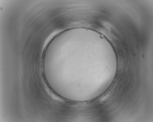 X0000073931094200609082257