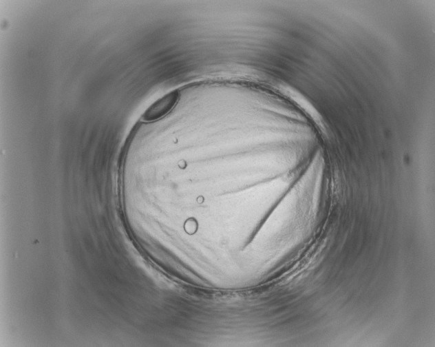 X0000073931099200609082256