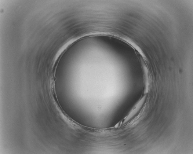 X0000073931101200609082256