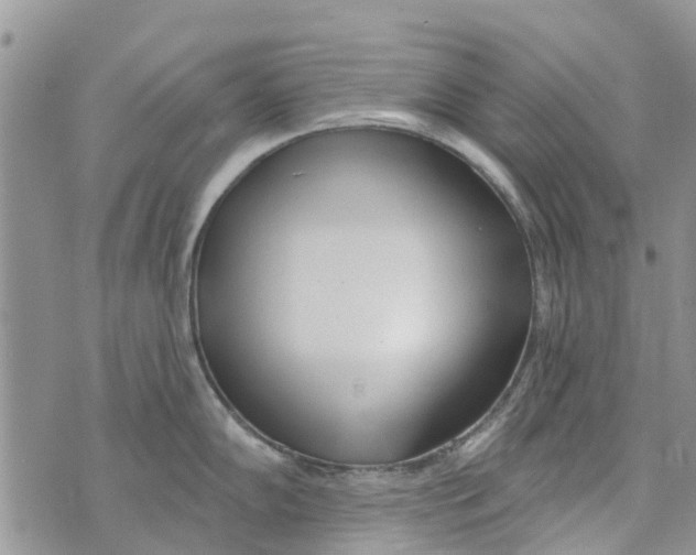 X0000073931102200609082256