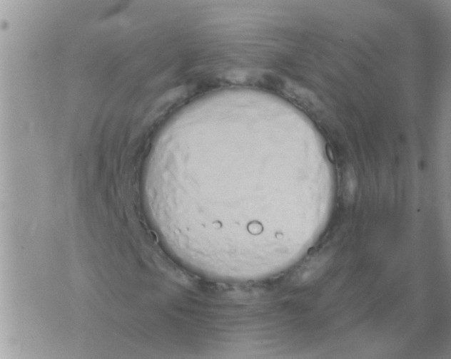 X0000073931105200609082256