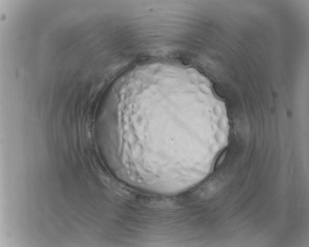 X0000073931106200609082256