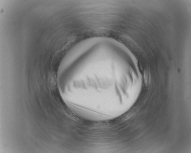 X0000073931107200609082256