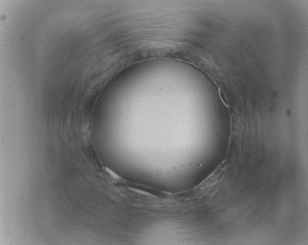 X0000073931109200609082256