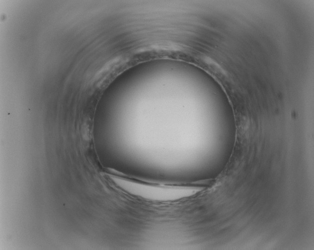 X0000073931110200609082256