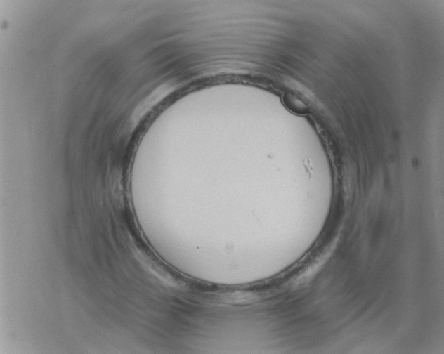 X0000073931113200609082256