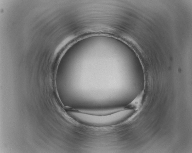 X0000073931114200609082256