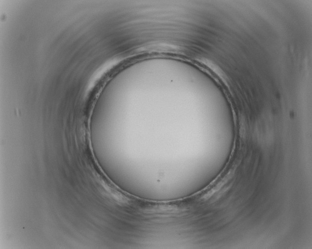 X0000073931115200609082256